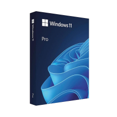 Microsoft Windows 11 Pro