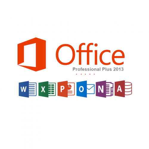 Microsoft Office Professional Plus 13 Surfspot
