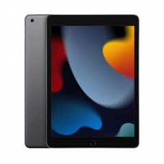 Apple iPad (2021) - 10.2" / Wi-Fi / 256GB / Spacegrijs