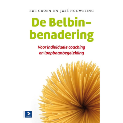 De Belbinbenadering