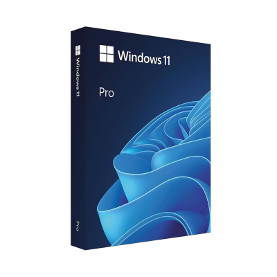 Microsoft Windows 11 Pro