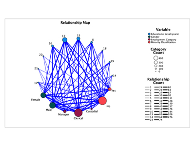 what is relationship maps in spss statistics